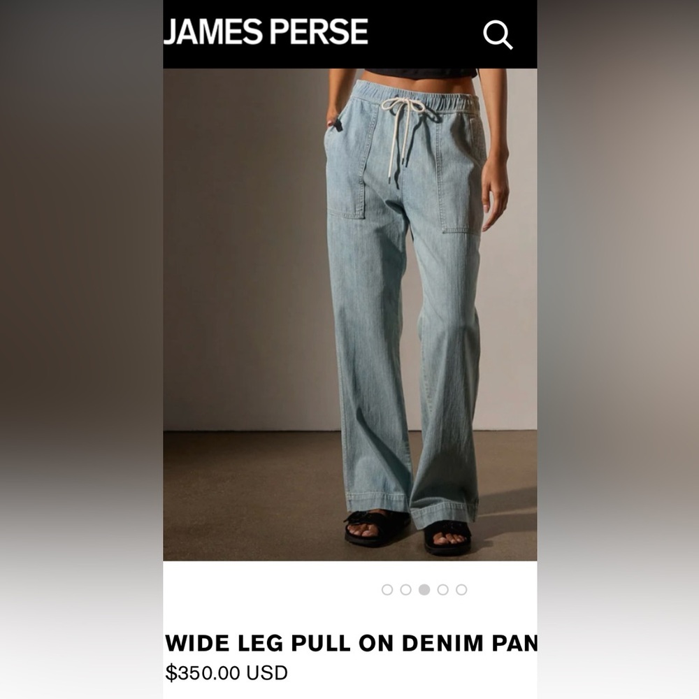 James Perse Drawstring Wide Leg Light wash Jeans NEW